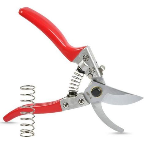 Sécateur - Acier SK5 - Coupe Jusqu À 20 Mm - Poignée Ergonomique Antidérapante - 1 Pièce (1/4)