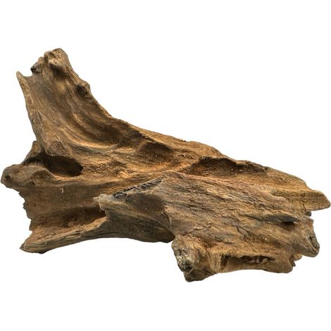 Radice di mangrovia BioRoot S / 20cm / Radice di mangrovia per terrario e acquario (1/5)