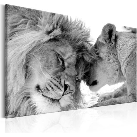 Tableau Imprimé "Lion's Love" 40 x 60 cm (1/2)