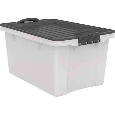 Rotho Aufbewahrungsbox Compact mit Deckel 27 x 18,5 cm 4,5 L mistletoe weiß (1/3)