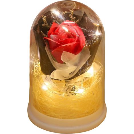 Éternelle Bouquet de Roses Éternelles sous Cloche  s Perpétuelles avec Lumière Offrir à Maman, Femmes, Sœur, Fille, Épouse, Elle, Saint-Valentin, Petite Amie, Anniversaire, (1/5)