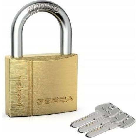 Cadenas Arceau - Corps Laiton 50 mm - Arceau Acier Trempé 8 mm - Clé Symétrique - Pour Portail Casier Sécurité