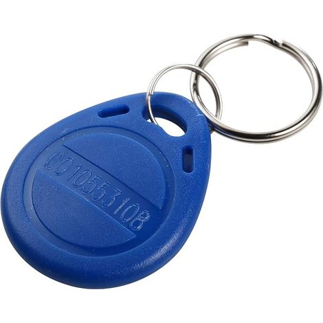 Badge Porte-Clé RFID EM Proximité 125KHz Carte ID (1/4)