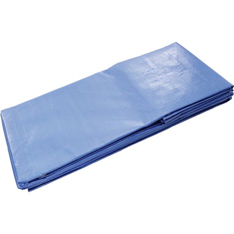Láminas de polietileno DIMOS - 220 g/m2 - 12 x 10 m - 408620