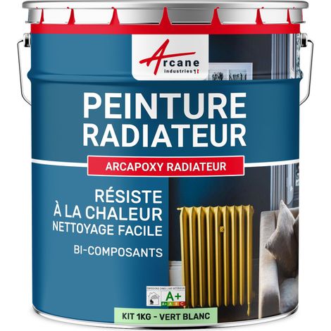 Arcane Industries – Peinture pour radiateur époxy bi-composant 1 kg – Résistante jusqu'à 5 m² en 2 couches – Satinée RAL 6019 Vert Blanc – Pour fonte, acier, alu (1/5)