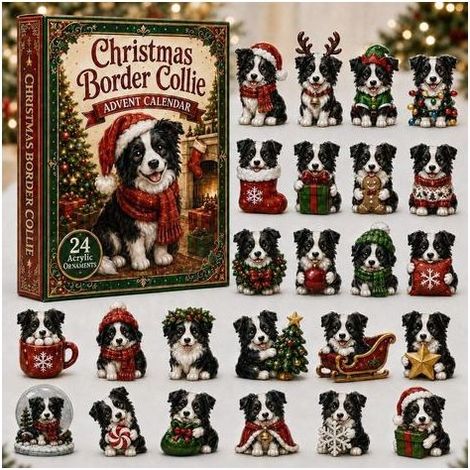 Border collie de Noël calendrier avent 2026 2D boîte surprise