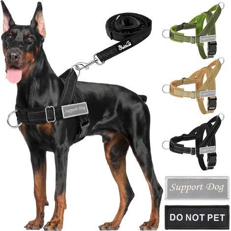 Medium Dog Harness and Lead, Adjustable Neck and Chest, 1.9 m Anti-Twist Dog Lead, Soft and Padded, Reflective (1/5)