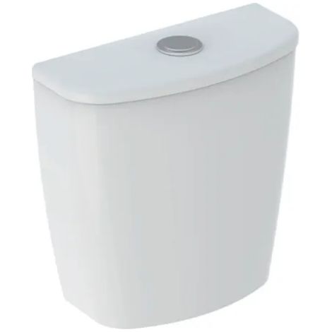 Cassetta di risciacquo esterna monoblocco 16x36 cm bianco - Geberit Colibrì (1/5)