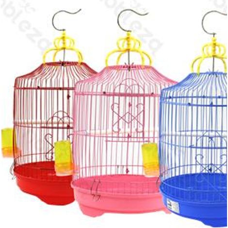 TRADE SHOP - Gabbia Cilindro Completa Di Accessori Per Canarini Uccelli Pappagalli Rotonda -