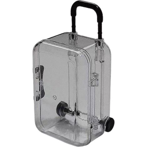 Einfache, transparente Schmuckaufbewahrungsbox im Kofferformat, süße Ohrringe, Haarspangen-Organizer, Geschenkboxen