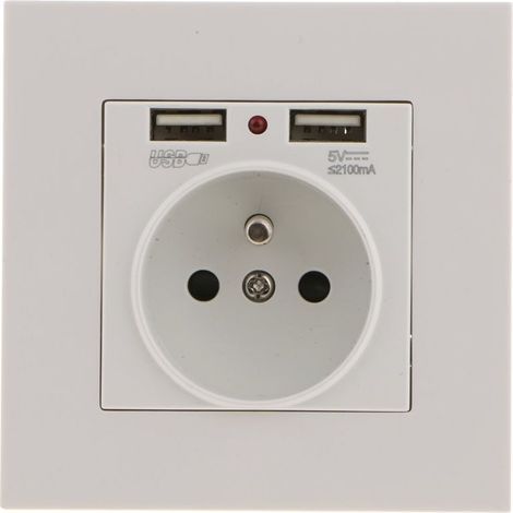 Prise Murale, Prise Electrique Murale avec Double USB 5V/2100mA, Prise Encastrable avec 2 Ports de USB Pratique et Manialble (1/5)
