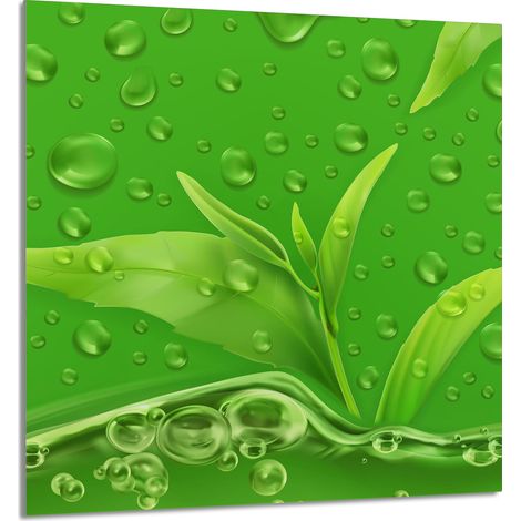 PANNELLO IN VETRO PER CUCINA 60x65 Foglie (1/5)