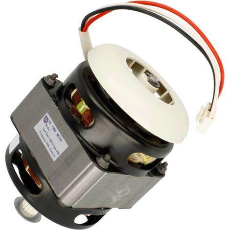 Moteur avec pignon