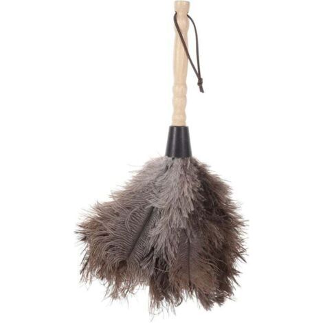 1 pc Duster Plumes pour Nettoyage de Maison Outil de Nettoyage Poussière pour Équipements Électroniques (1/4)