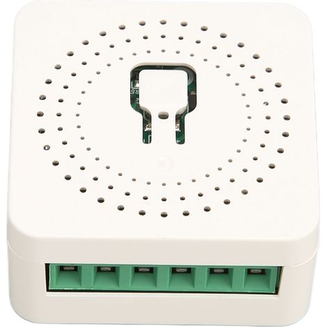 Module Relais Intelligent Mini WiFi TUYA Commande à Distance Application Minuterie AC100-240V (1/5)