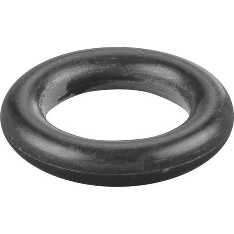 Rems O-Ring 060184