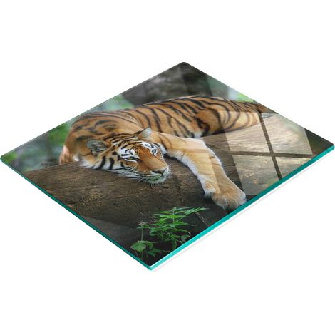 Tableau en verre élégant et résistant avec motif tigre sur un arbre 60x52 cm (1/5)