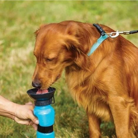 Gourde chien en voyage 500 ml - Portable - Bouteille d\'eau pour animaux de compagnie - Distributeur d\'eau pour promenades en plein.
