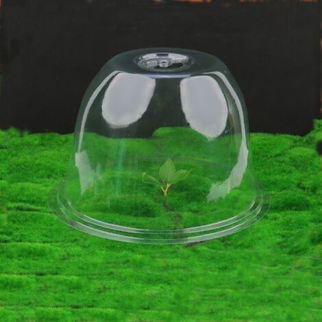 Cloche de Forçage Aérée pour Plantes – pour Semis et Jardinage – Maintient l'Humidité et la Chaleur – 1 Pièce (1/5)
