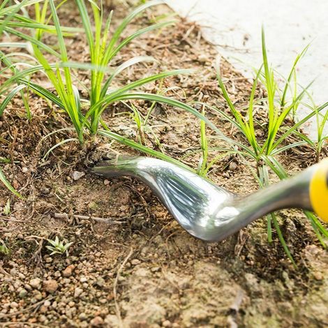 Outil de Suppression de Pissenlit de désherbeur à Main, extracteur de Mauvaises Herbes Manuel A
