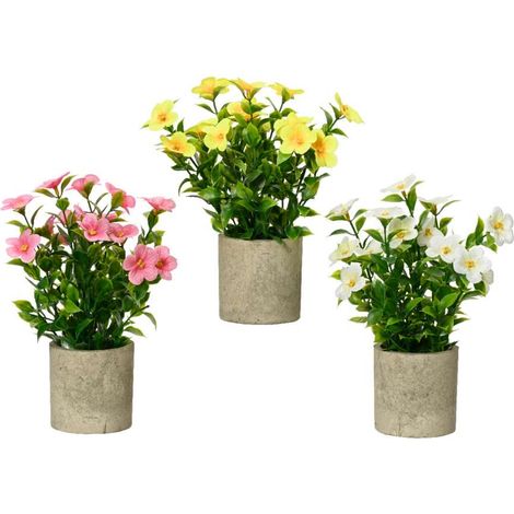 Catharanthus artificiale in vaso (1/4)