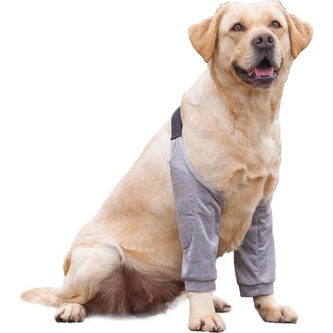 Chien Manchon de Récupération pour Patte Avant, Chien Coude Protecteur Joint Protecteur de Jambe pour Chien Protection des Genou pour Chiens Moyens de Grande Taille (2XL, Gris) (1/5)