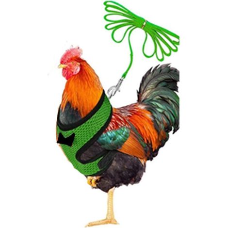 Harnais de Poulet réglable avec Laisse Gilet Respirant pour Poule pour Animaux de Compagnie 3,6 Pieds Ceinture Assortie Corde de Traction d'entraînement en Plein air pour Animaux de Compagnie Canard O (1/5)