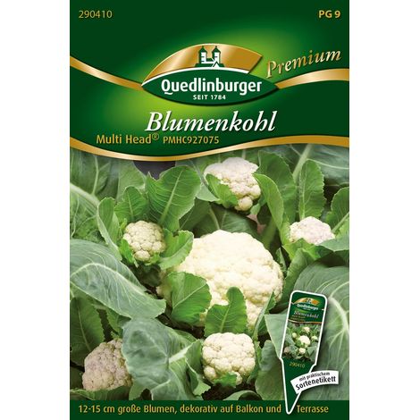 Quedlinburger Saatgut – Chou-fleur Multi Head PMHC927075 – Graines de légumes, plusieurs têtes par plant de 12-15 cm (1/2)