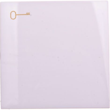 Simon 54 Llave individual con símbolo de llave para interruptores/botones blanca DKWK1/11