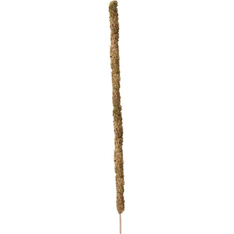 Sistema modular de soporte para plantas, de fácil montaje, fabricado con musgo y cuerda de fibra de coco, 120 cm x 60 cm, flexible, verde/marrón, para jardines. (1/5)