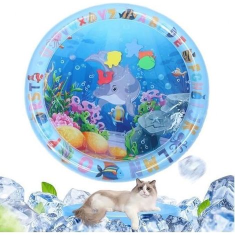 1 Tapis de jeu d'eau,épaissi,anti-éclaboussures,sensoriel,pour chat,intérieur (1/3)