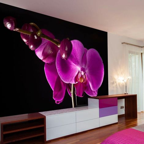 Papier peint orchidée élégante - 350 x 270 cm (1/3)