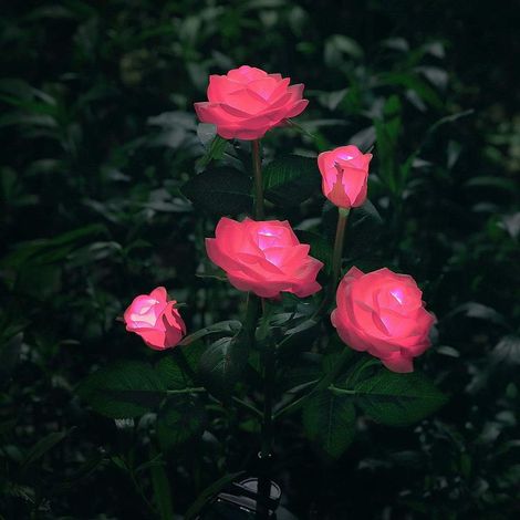Blumenförmige Solar-Gartenleuchten – Rosa (1/5)