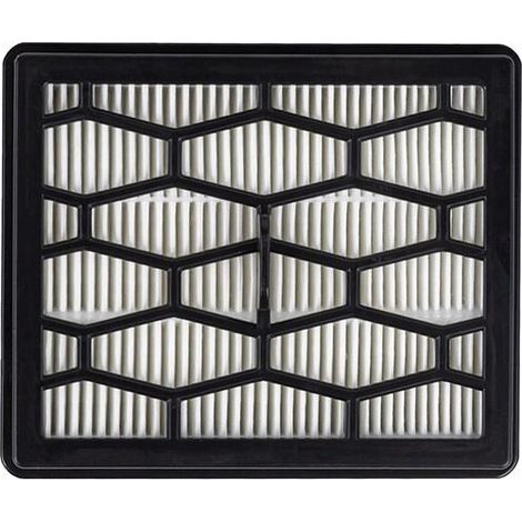 Tesla Filtre HEPA T500 noir pour aspirateur AeroStar (1/3)