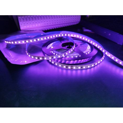 Bande lumineuse LED 24V pour l'ingénierie basse tension, lumière violette, panneau nu auto-adhésif, bande lumineuse linéaire, 120 perles, 8 mm.