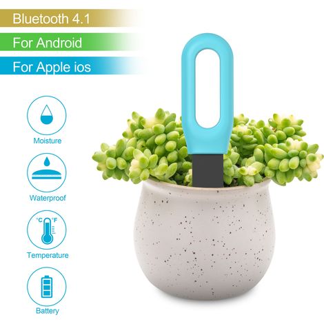 Tuya BT – Tester intelligente 2 in 1 per umidità del terreno, temperatura ambiente, strumento di misurazione per piante in vaso da interno, attrezzi per la coltivazione e il giardinaggio, connessione. (1/5)