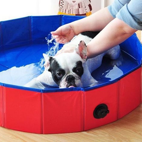 Piscine pliable pour chiens - Piscine portable pour enfants, baignoire, piscine extérieure pour petits et grands chiens, rouge (1/5)