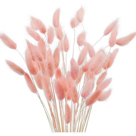 Herbe De Pampa - Fleurs Séchées Naturelles - 40 Cm - Rose - Décoration Intérieure Bohème - 50 Pièces (1/5)