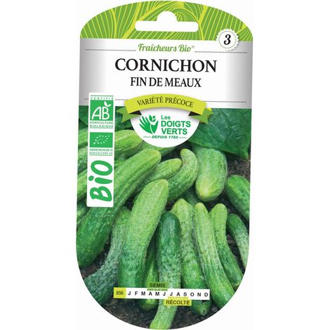 Graines cornichon fin de Meaux BIO Les Doigts Verts