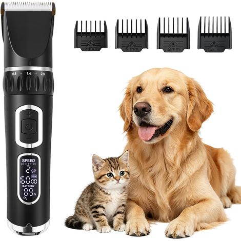 Tondeuse Chien Sans Fil, 3 Vitesses, Chiens Chats (1/5)