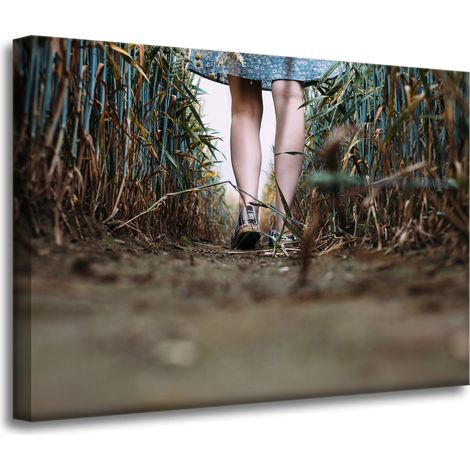 Leinwanddruck Natur Ein Spaziergang auf dem Feld 70x50 cm