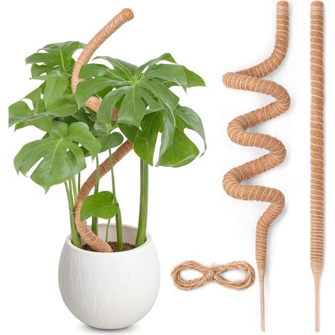 x 160cm Moosstab Monstera für Pflanzen, Biegsame Monstera Rankhilfe mit Zubehör für Kletterpflanzen, Handgefertigte Kokosstab Monstera Moss Pole für Indoor Pflanzen (1/5)