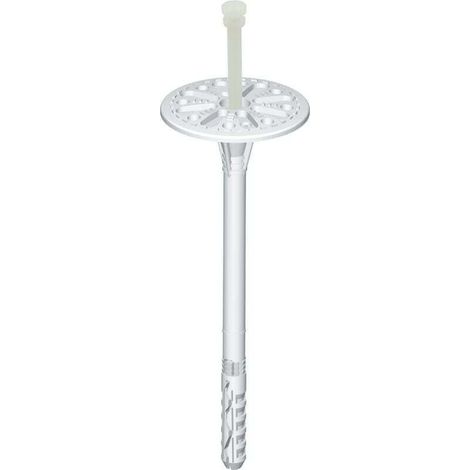 Cheville À Frapper Avec Clou Plastique 10x160mm Faible Profondeur Boîte De 200 Pièces (1/2)