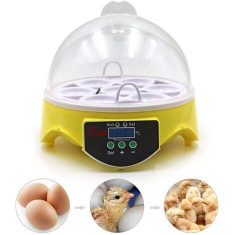 Couveuse Oeuf 7 Oeufs, Incubateur Oeuf De Poule Couveuse Poussin, Contrôle Automatique De La Température Et Affichage Numérique De La Température Par Led (1/5)