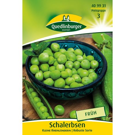 Quedlinburger Schalerbsen Kleine Rheinländerin - Gemüsesamen (1/2)