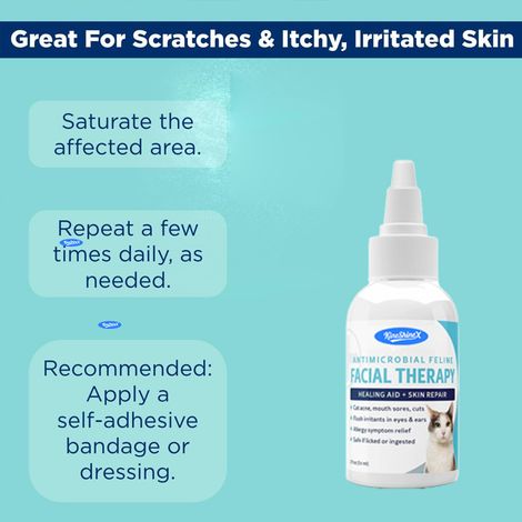 KineShineX Pet Eye Wash bietet eine professionelle Augenreinigung und reinigt die Augen von Haustieren effektiv.
