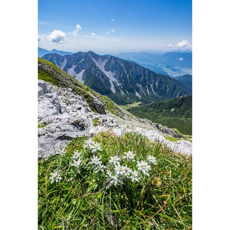 Tableau sur toile flore massif Hautes-Pyrénées 30x45 cm - Impression sur Toile Murale Décorative - Image imprimée en HD sur Toile - Toile sur Châssis en Bois FSC - Fabriqué en France (1/4)