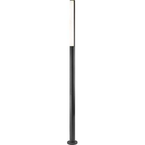 BERET Farola 75524 (1/5)
