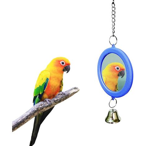 Miroir pour oiseaux, avec clochette, jouet interactif pour perruches, calopsittes, canaris, perruches, perruches, perruches, accessoires (bleu) (1/5)