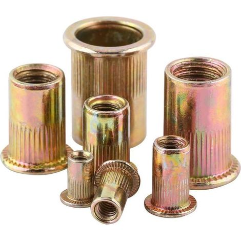 Lot de Ecrous de Rivet Insert Filetage Métrique en Acier au Carbone Zingué (M6 × 100pcs)